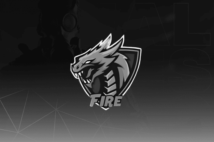 FireX: BO6 / BO7 / WZ Software