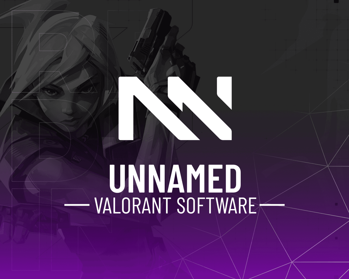 Unnamed: Valorant Software